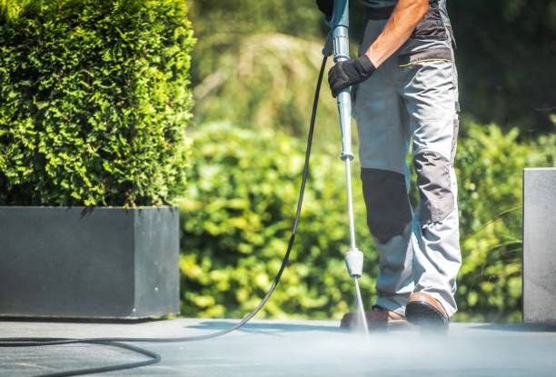 Animal Enclosure Cleaning in Fyffe, AL